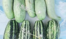 南通网红爆料吃瓜