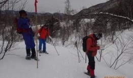 最新南极爆料,揭开神秘冰盖下的秘密